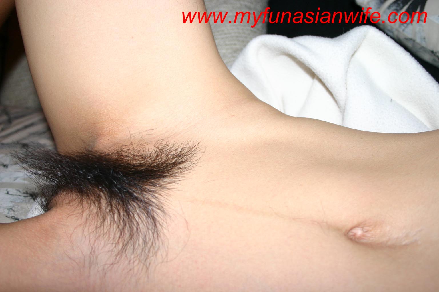 07_bush