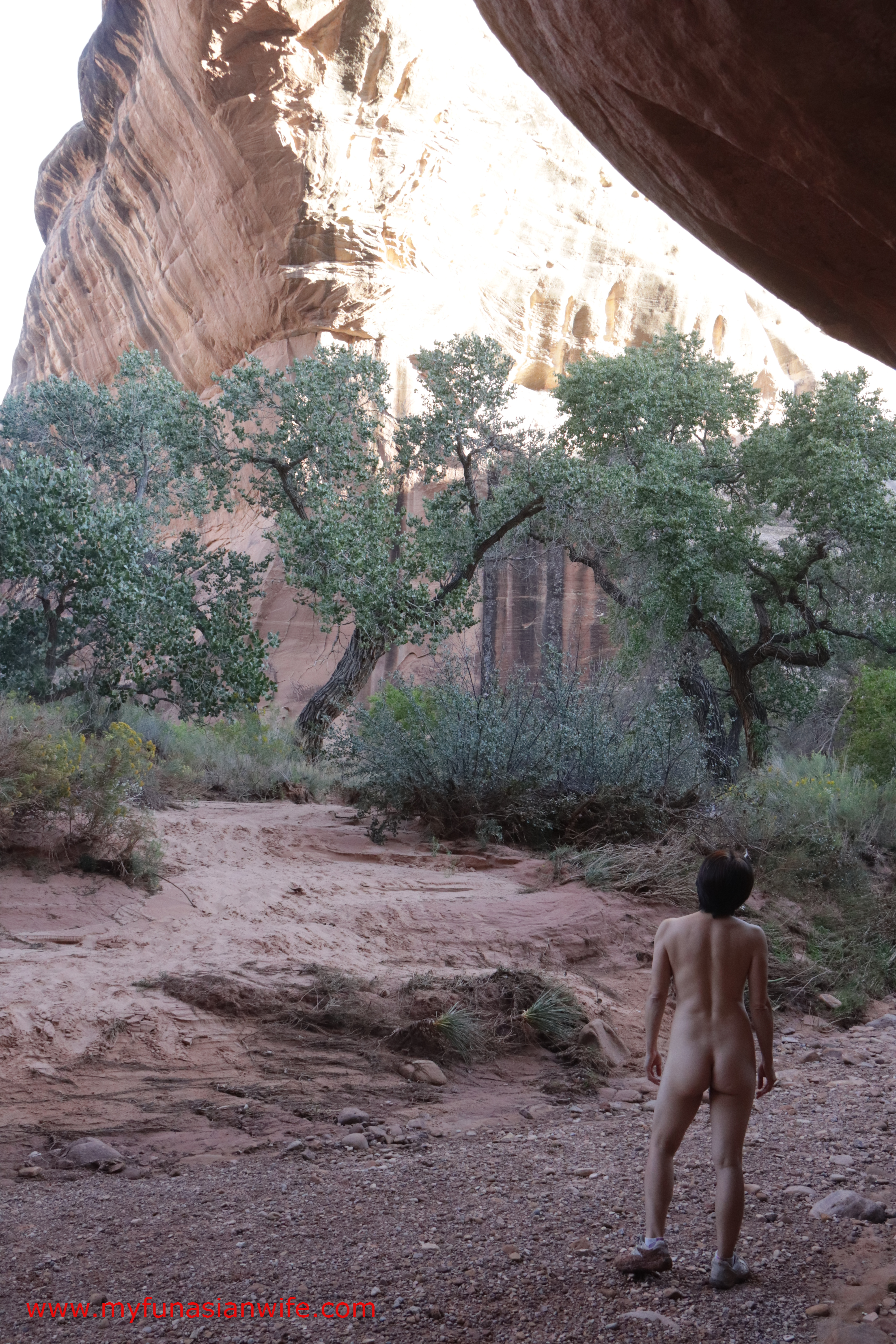 794_10_naked_bridge
